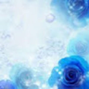 Meet your Posher, Yazmin